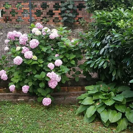 Dina Guest house 2*